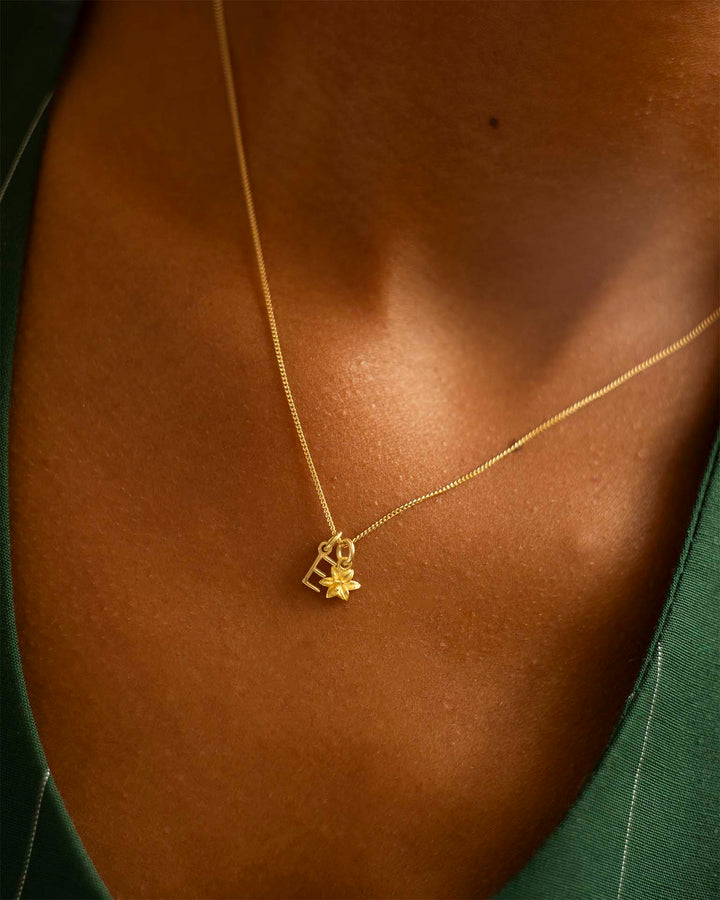 Collier Personnalisé avec Lettre en Or et Fleur de Naissance