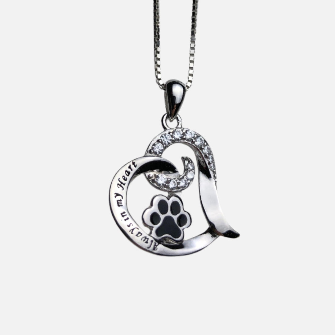 Collier commémoratif élégant pour chien – Acier inoxydable
