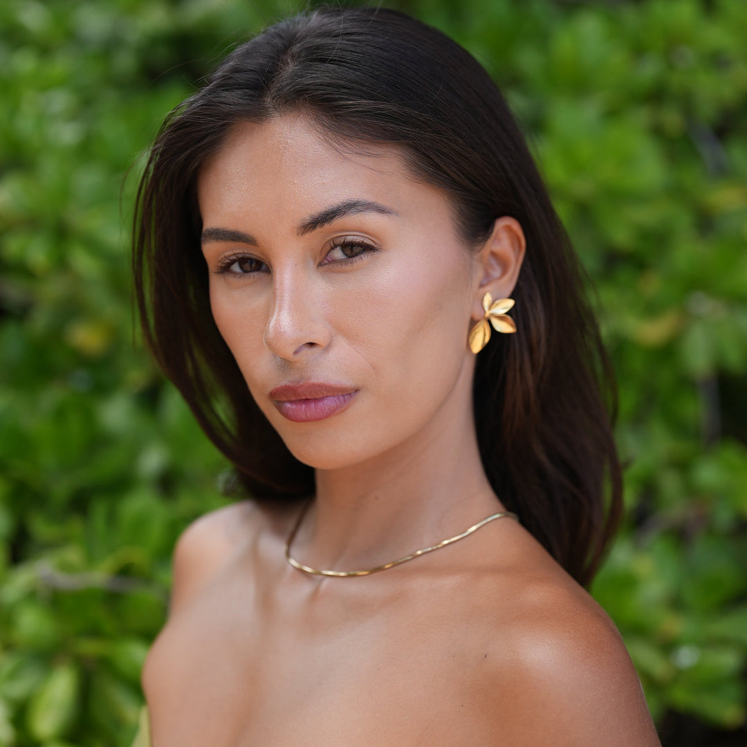 Collier Nara