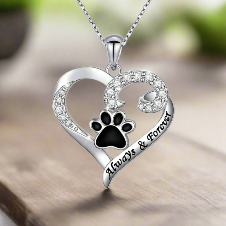 Collier Patte de Chien – Design en Cœur en Acier Inoxydable avec Zirconia